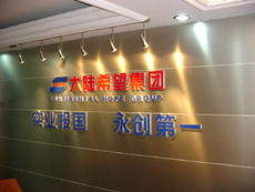 大陆希望集团