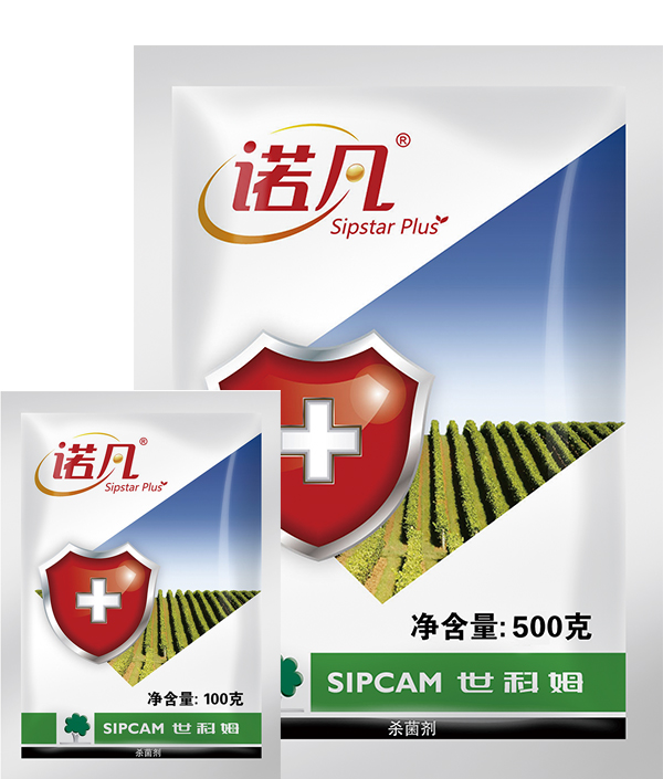 诺凡
