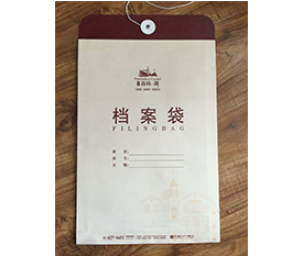档案袋