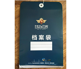 档案袋