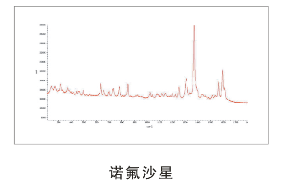 LRS-5  微区激光拉曼光谱仪