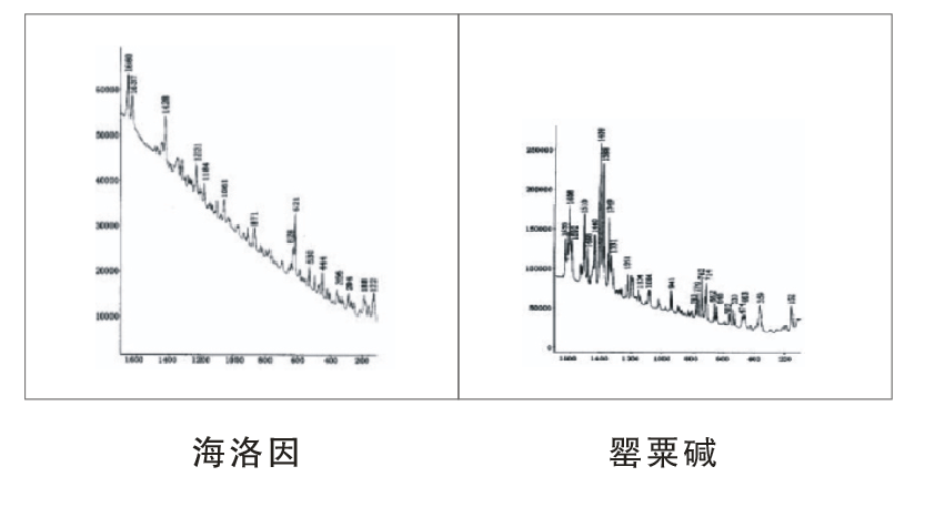 LRS-5  微区激光拉曼光谱仪