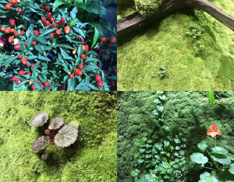 铁汉一方丛零设计理念首秀，引起现场热烈反响