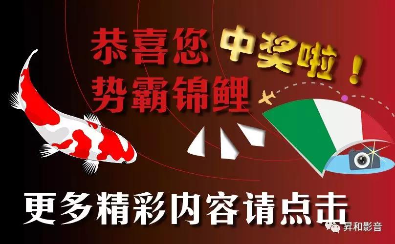 買到就是賺到：“金星”猴賽雷2019年限量推廣套裝