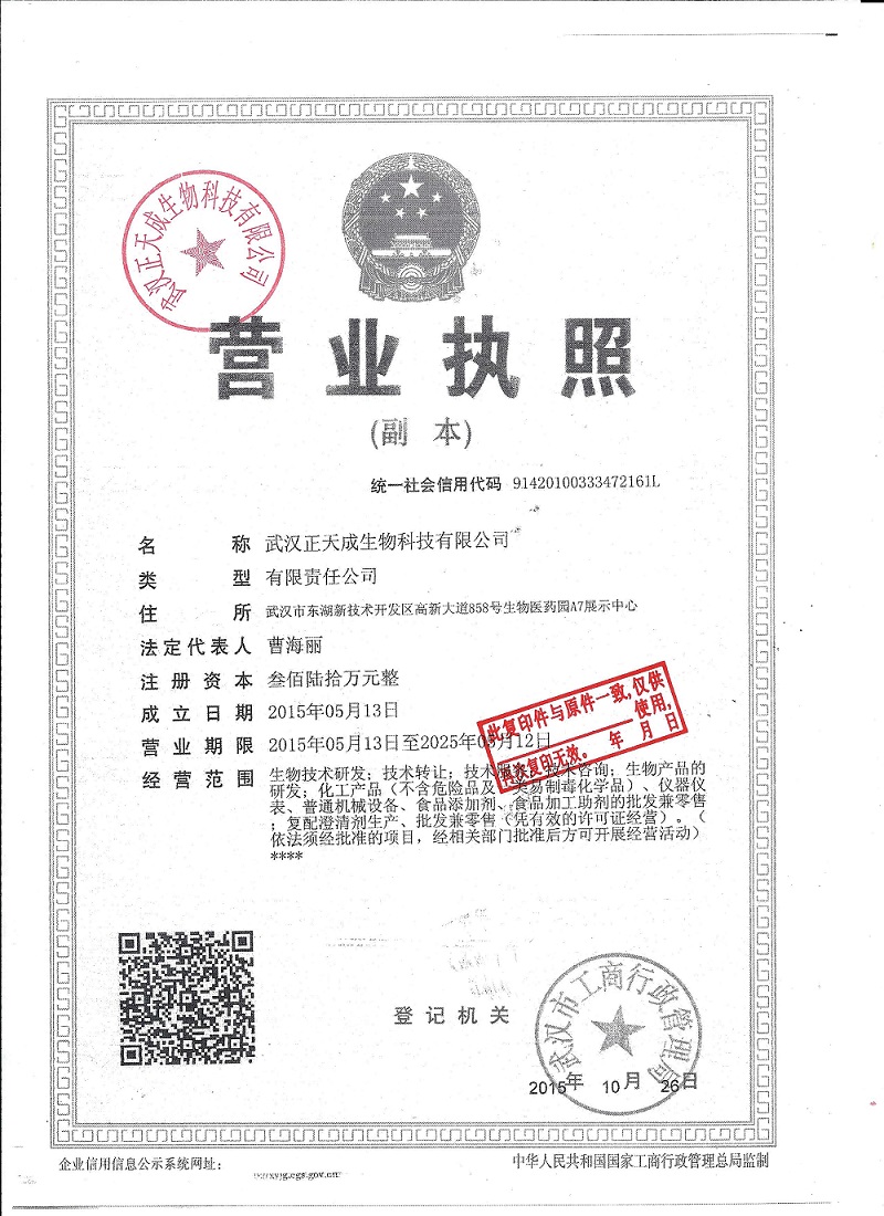 法人营业执照