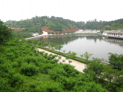 雙流毛家灣森林公園 雙流毛家灣森林公園