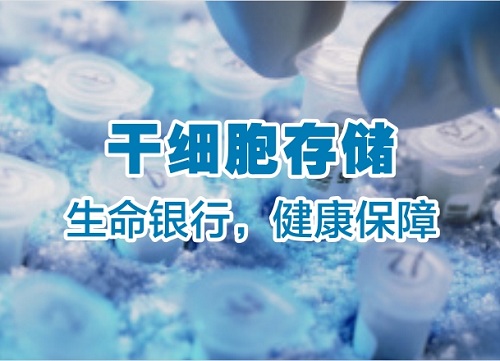 细胞技术：解锁健康未来的钥匙
