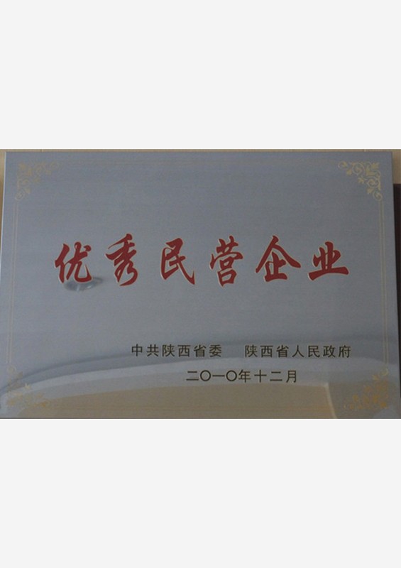 陕西省优秀民营企业