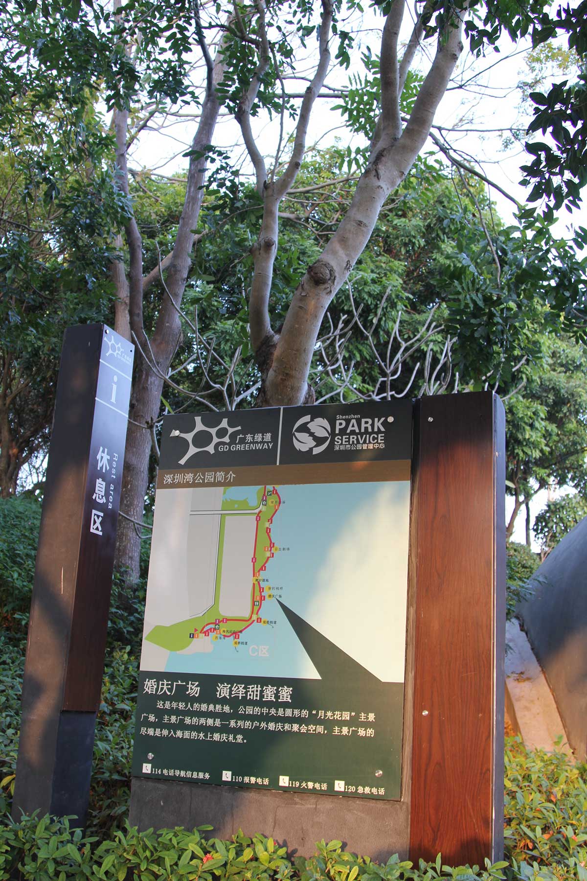 深圳湾公园 