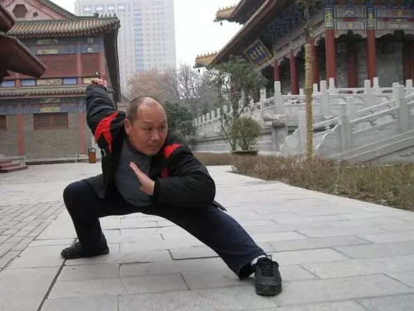 傅老颐年近耄耋 天生异禀如白猿 保修三道侠气壮 名成奇功通臂拳 【傅