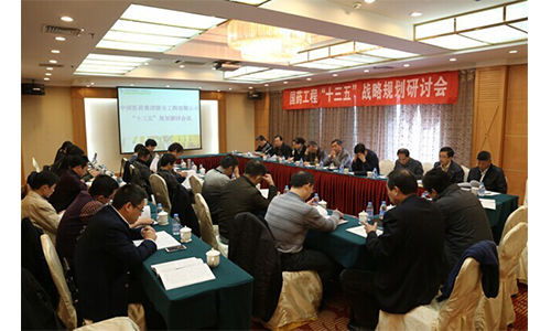 国药工程召开“十三五”战略规划研讨会