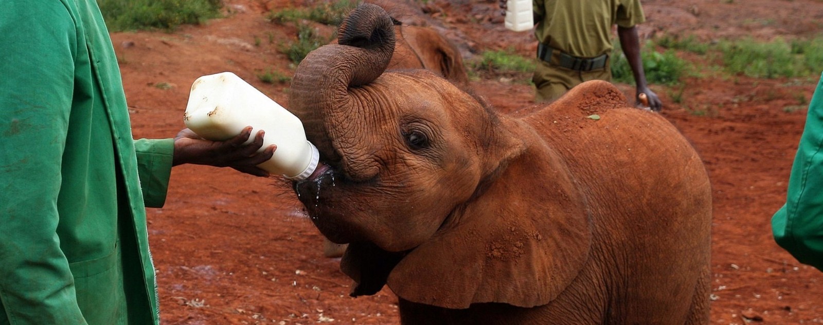 之床,海明威青睐的丛林/马背游猎,热气球之旅,探访马赛村/大象孤儿院