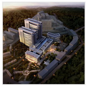 攀钢集团中医院