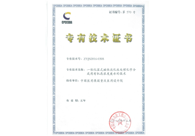 一体化湿式磁体流化床处理化学合成药有机高浓度废水的技术