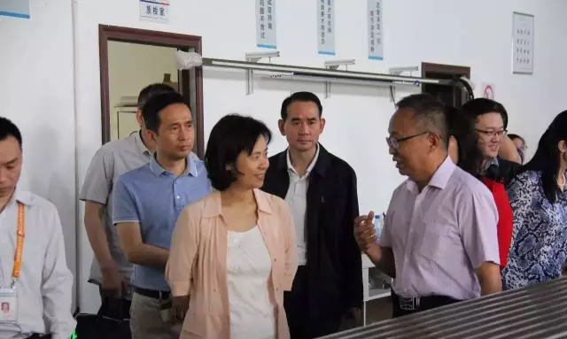 武汉市副市长徐洪兰参观我公司 武汉市副市长徐洪兰参观我公司
