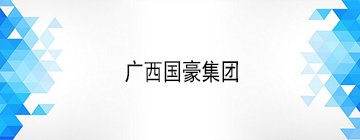 广西国豪集团