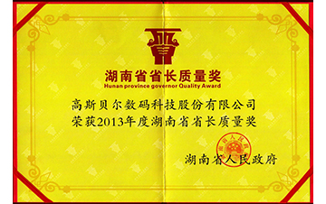 2013省长质量奖