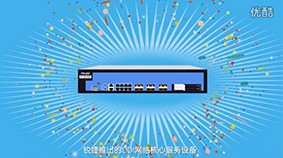 锐捷RG-DDI网络核心服务设备