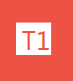 T1