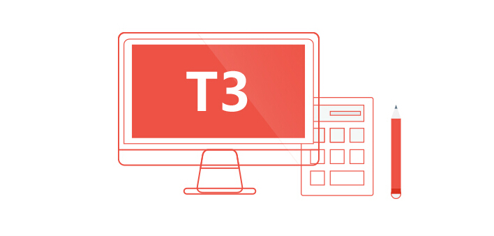 T3