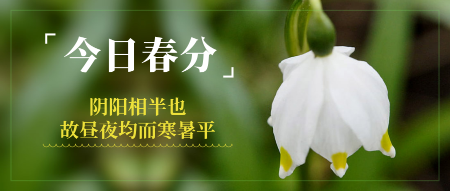 如何保持人体的阴阳平衡状态? 如何保持人体的阴阳平衡状态?