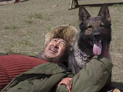 《血狼犬》演员访谈特辑(原名《忠犬蓝波》)