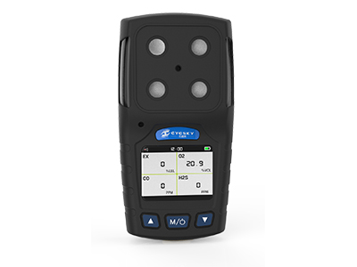 多参数气体检测仪检测仪可以检测哪些气体？