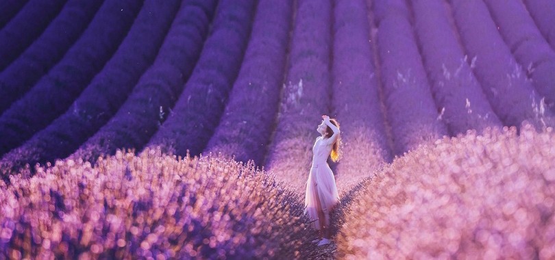 不可错过的紫幻海洋 －普罗旺斯