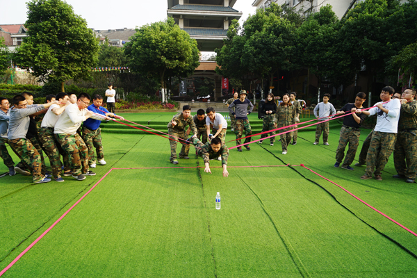 2017年｜新员工感悟