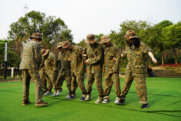 2017年｜新员工感悟