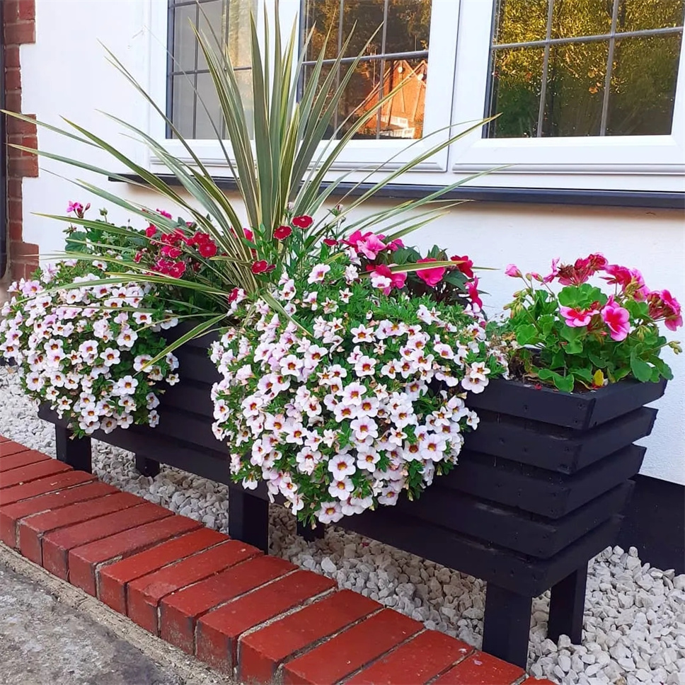 【花草生活】给你的窗台装个花箱