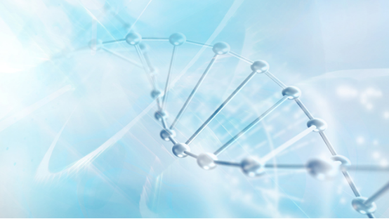 ��ҵ֪ʶ����ƽ̨