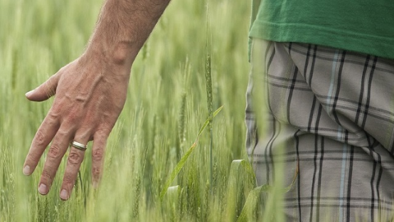 �к�������