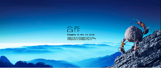 企业宗旨及展望