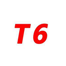 T6