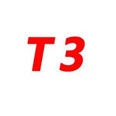 T3
