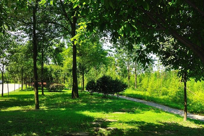 江安河生態(tài)河堤道路景觀工程