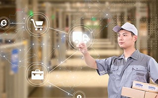 On the Future Development of Intelligent Logistics