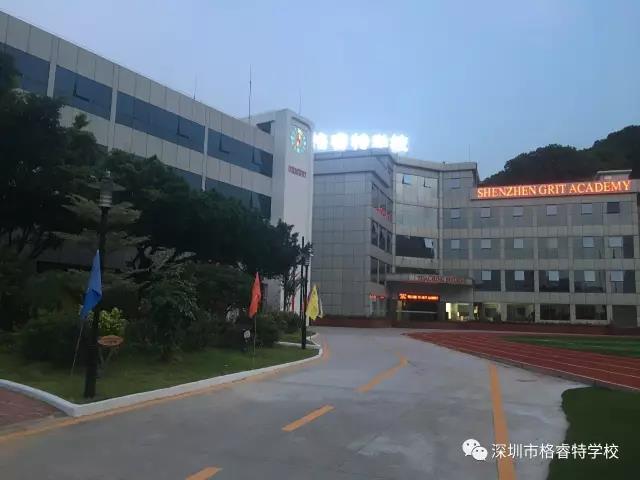 诗文趁年华,恰为少年时——深圳市龙华区第七届“三维悦读”高中生现场作文大赛 诗文趁年华,恰为少年时——深圳市龙华区第七届“三维悦读”高中生现场作文大赛