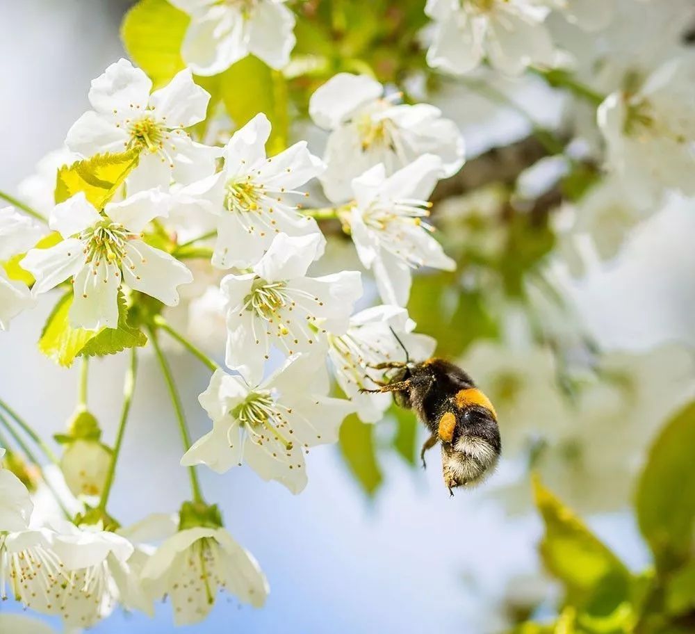 最惊艳的10种无人机科技创意！将改变人类的生活