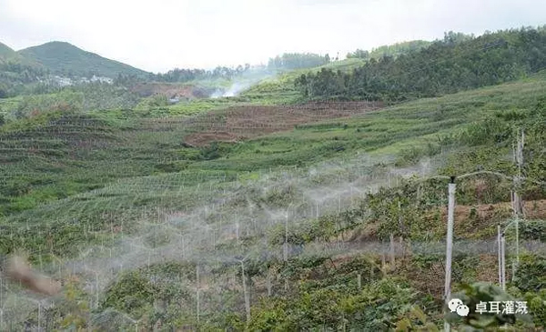 湖北省猕猴桃产业吹响集结号——省猕猴桃产业培训会将在武汉举办 湖北省猕猴桃产业吹响集结号——省猕猴桃产业培训会将在武汉举办