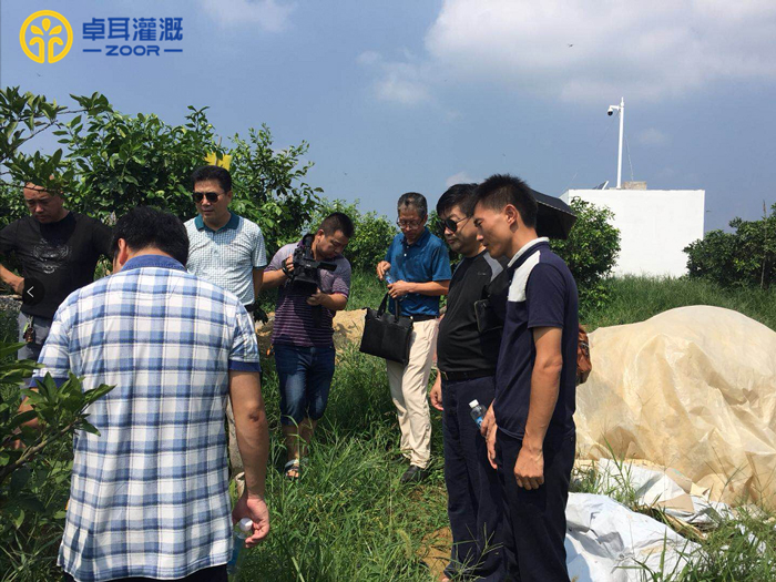 东宝区柑橘水肥一体化示范项目 东宝区柑橘水肥一体化示范项目