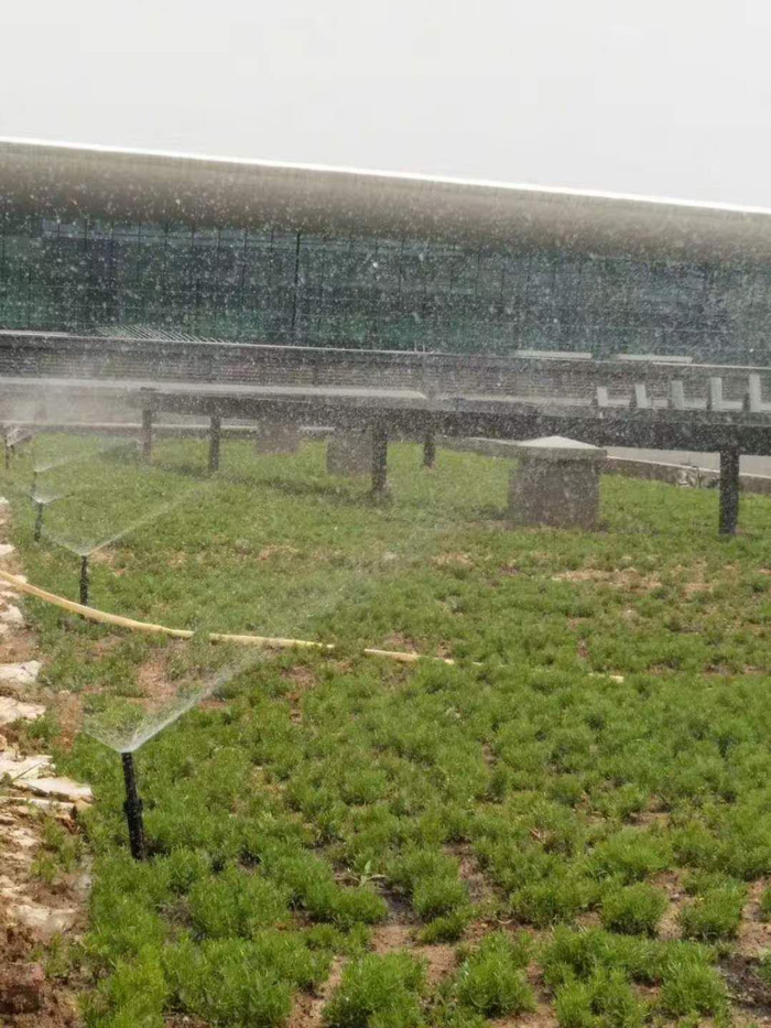 天河机场 T3 航站楼交通指挥中心屋顶绿化自动喷灌
