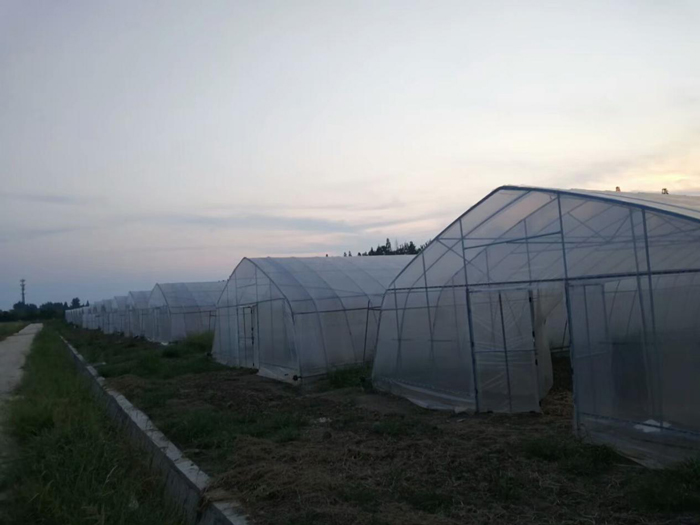 武汉市文鼎农业蔬菜新品种引试研发基地建设项目现代农业水肥一体化示范区