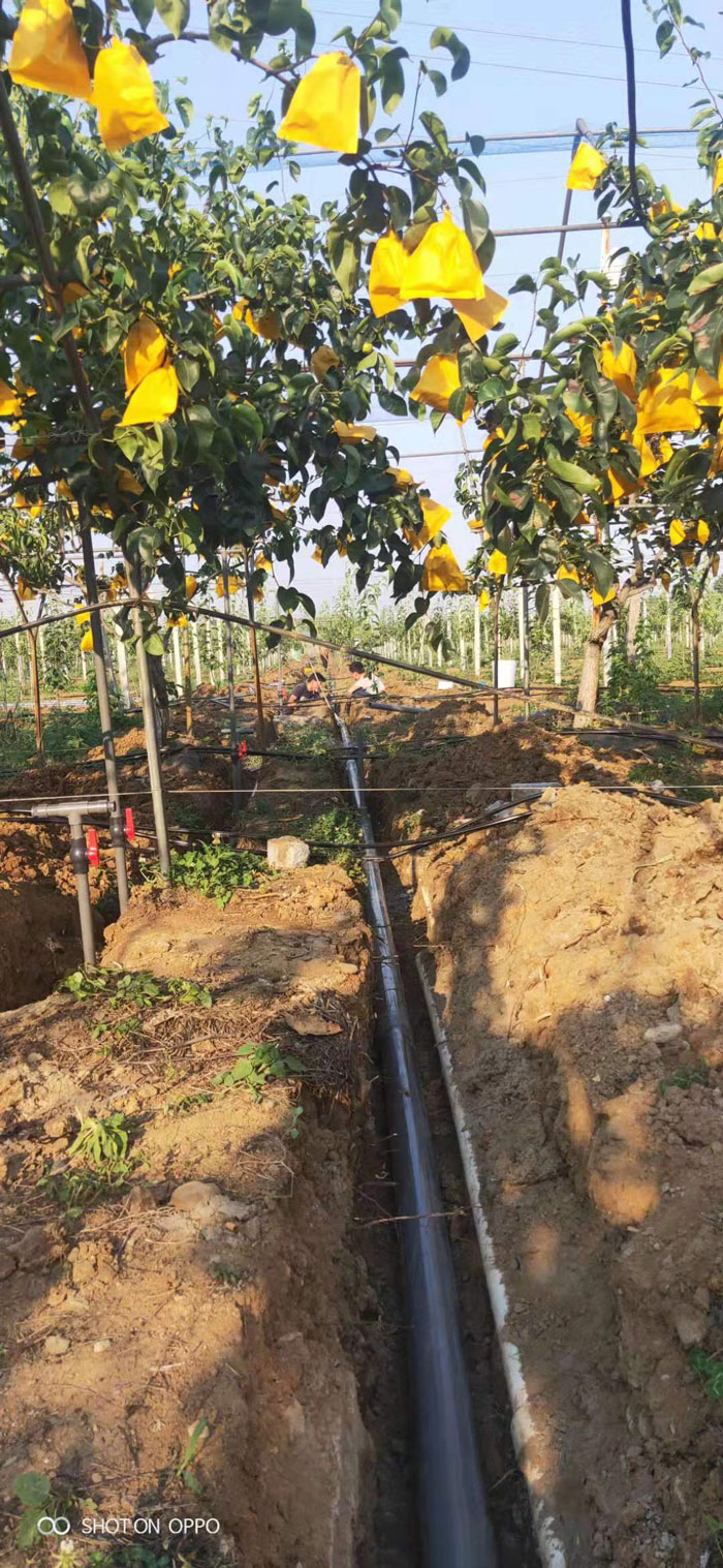 襄阳老河口果品研究所果树研究基地水肥一体化示范区