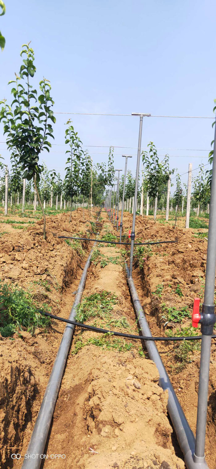 襄阳老河口果品研究所果树研究基地水肥一体化示范区 襄阳老河口果品研究所果树研究基地水肥一体化示范区