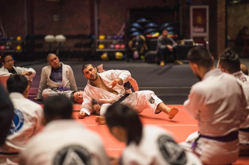 Rener Gracie Super Seminar 2019