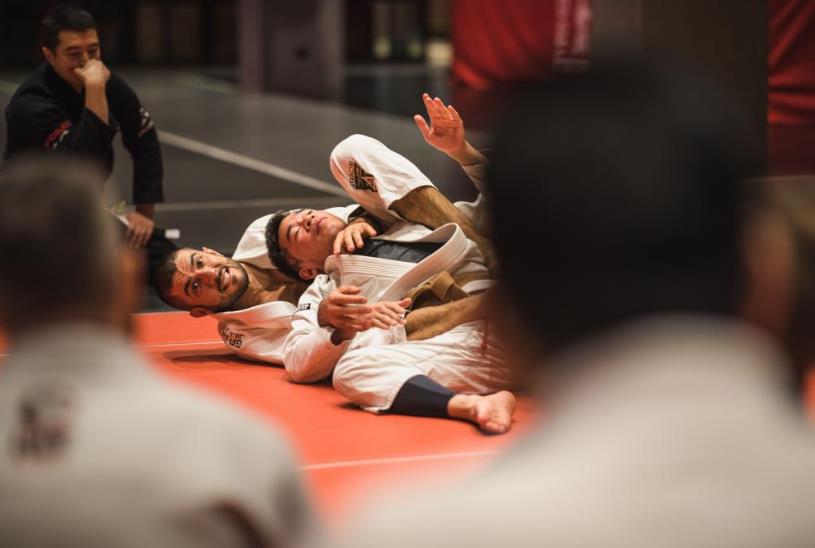 Rener Gracie Super Seminar 2019