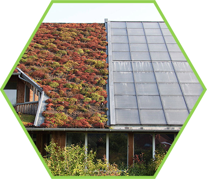  UMWELTVERTRÄGLICH UND GESUND