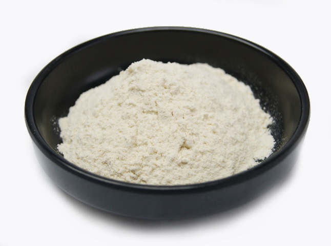 Undenatured Collagen Type II (Powder)